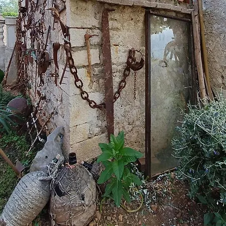 Rita קרס